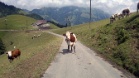 20120729 1322@