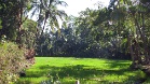 IMG 2533