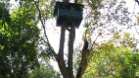 Cotigao Wildlife Sanctuary
