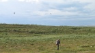 IMG 2738