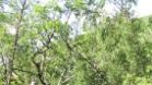 IMG 2845