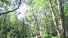 IMG 2866