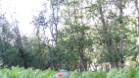 IMG 2880