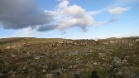 IMG 2983