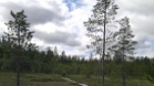 03072011113