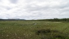 IMG 2554