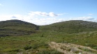 IMG 2584
