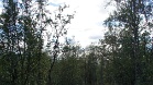 DSC06167