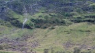 IMG 0901