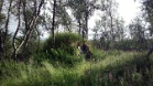2013-07-11-0452