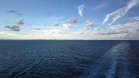 Miami Skyline (Florida, USA)