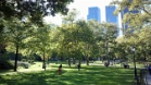 Central Park (New York, USA)