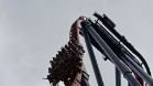 SheiKra Roller Coaster, Busch Gardens (Florida, USA)