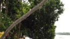IMG 6385