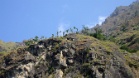 P1000716
