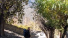 IMG 4722
