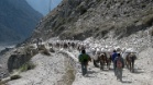 IMG 4775