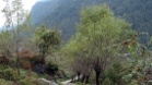 IMG 4834