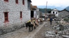 IMG 4843