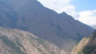 IMG 4891