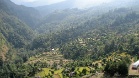 IMG 4896