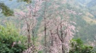 IMG 4902