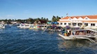 DSC03656