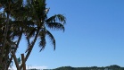 DSC03832
