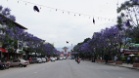 DSC04544